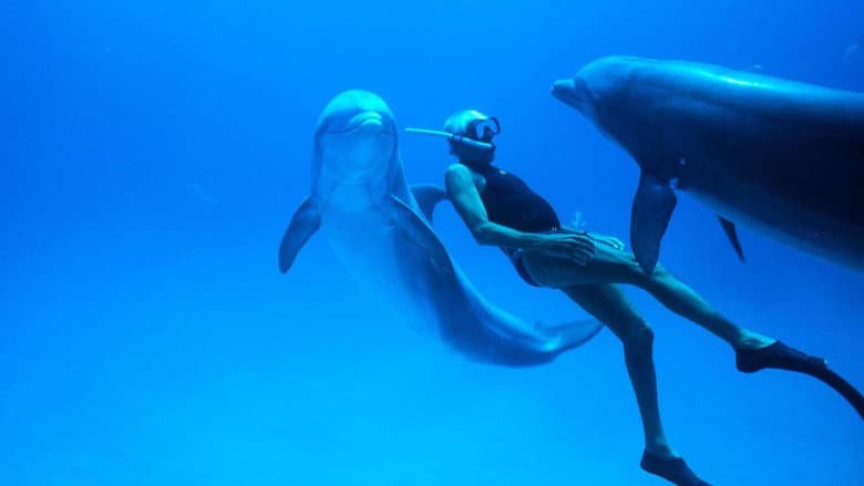 Dolphin Man still