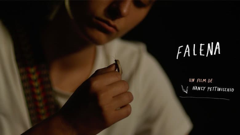 Falena still