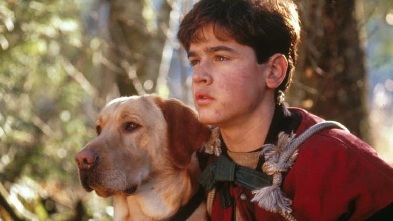 Far from Home: The Adventures of Yellow Dog still