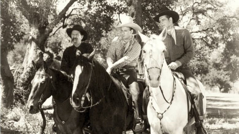 The Pinto Kid still
