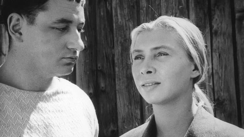 La Pointe Courte still