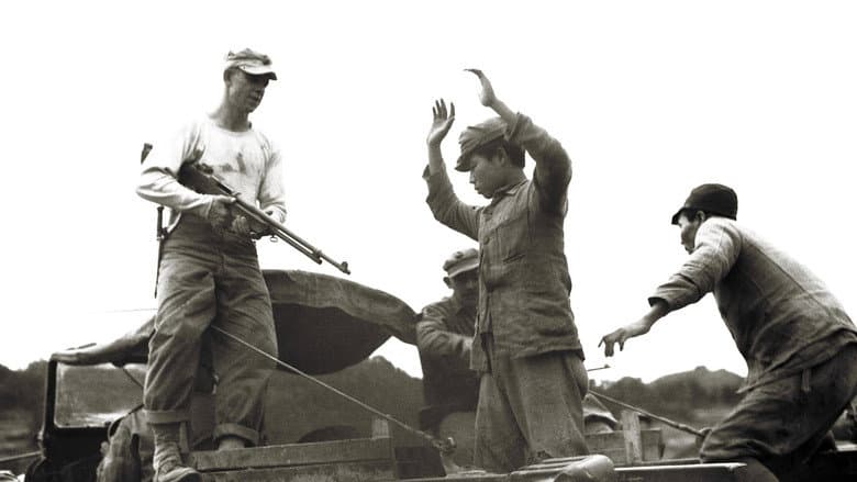 Boy Soldiers: The Secret War In Okinawa still