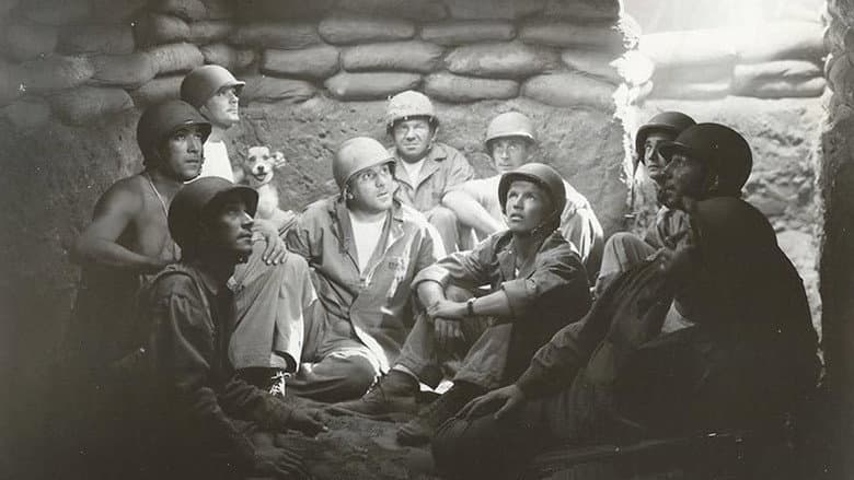 Guadalcanal Diary still