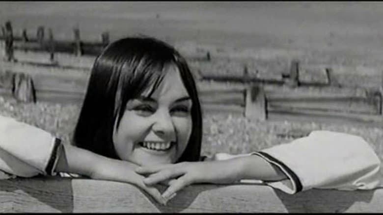 French Dressing still