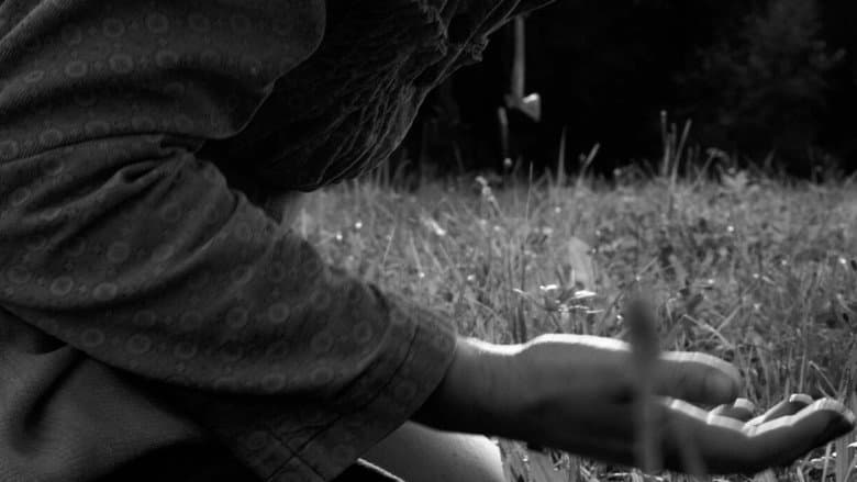 The Painter still