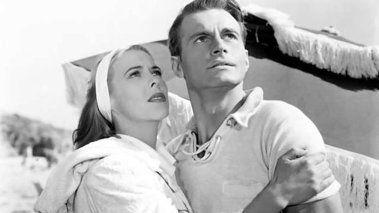 Shadow of a Woman still