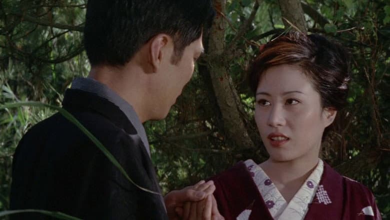 The World of Geisha still