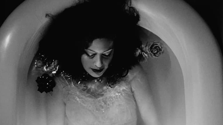 Lick the Star still