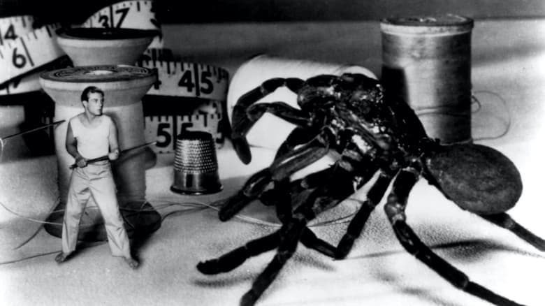 The Incredible Shrinking Man still