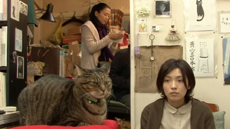 I’m a Cat Stalker still