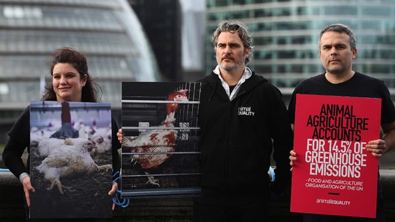 Joaquin Phoenix: An Actor of Extremes still
