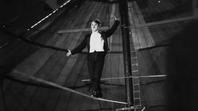 The Circus still