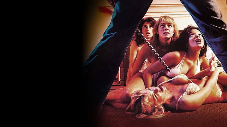 The Slumber Party Massacre still