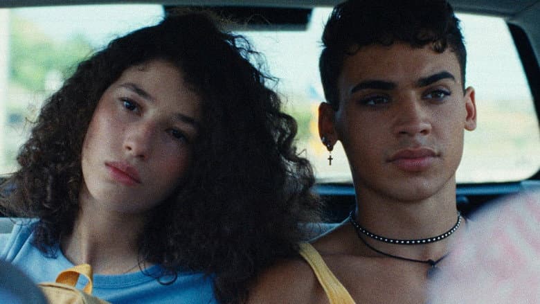 Wolf and Dog still