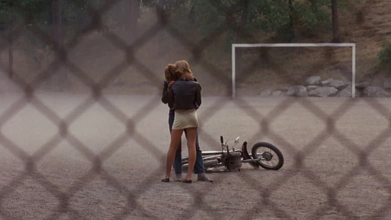 A Swedish Love Story still