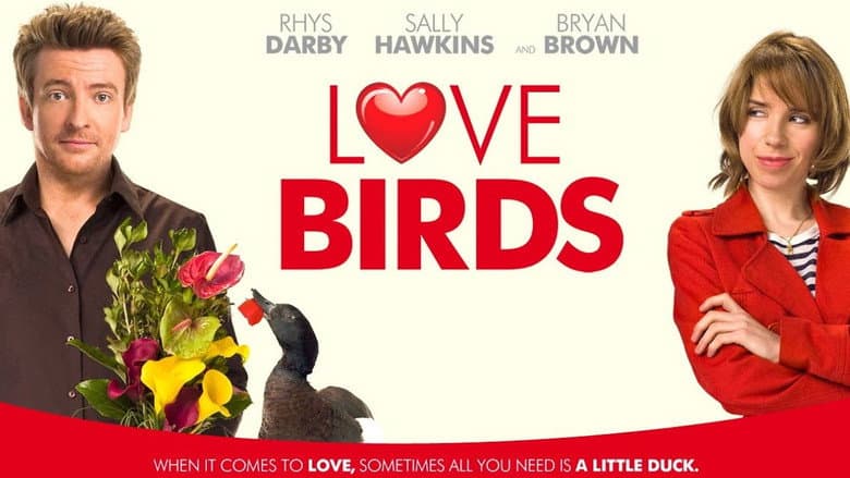 Love Birds still