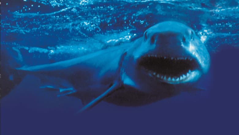 Shark Attack 2 still