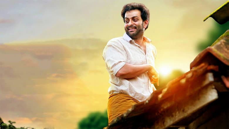 Pavada still