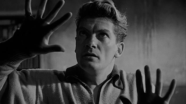 Orpheus still