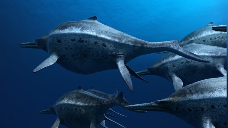 Sea Rex 3D: Journey to a Prehistoric World still