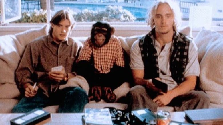 The Barefoot Executive still