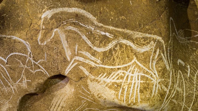 Grotte Chauvet - Dans les pas des artistes de la Préhistoire still