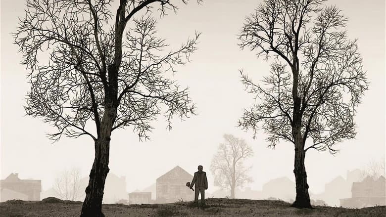 Tyrannosaur still