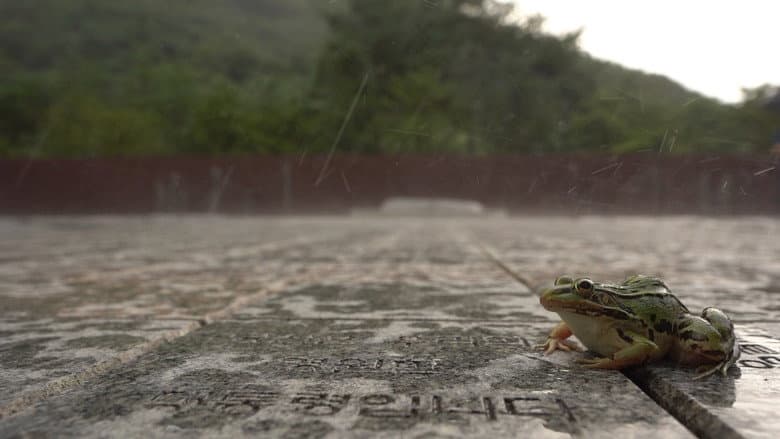 The Memory of Water still
