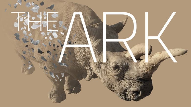 The Ark still