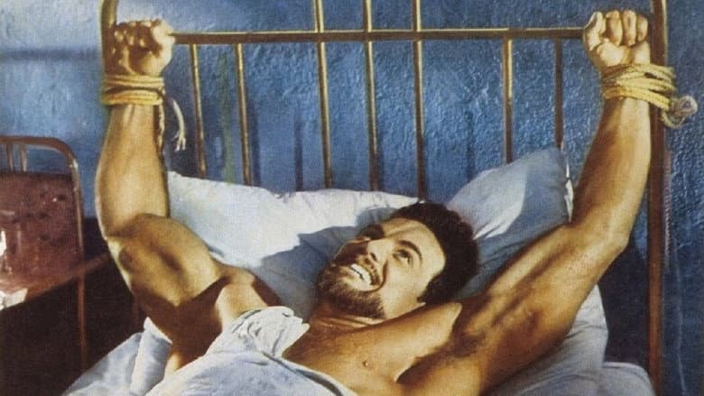 The White Warrior still