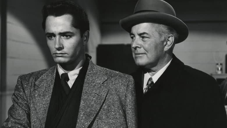 Saturday's Hero still