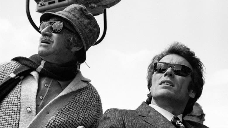 Dirty Harry still