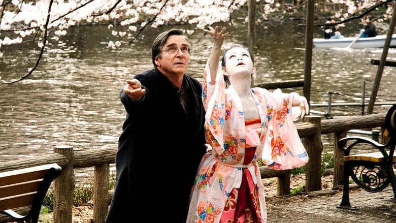 Cherry Blossoms still
