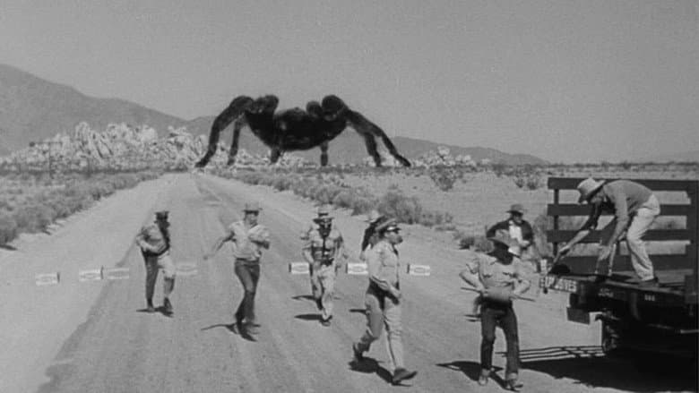 Tarantula still