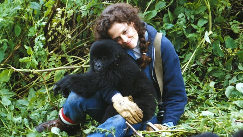 Gorillas in the Mist still
