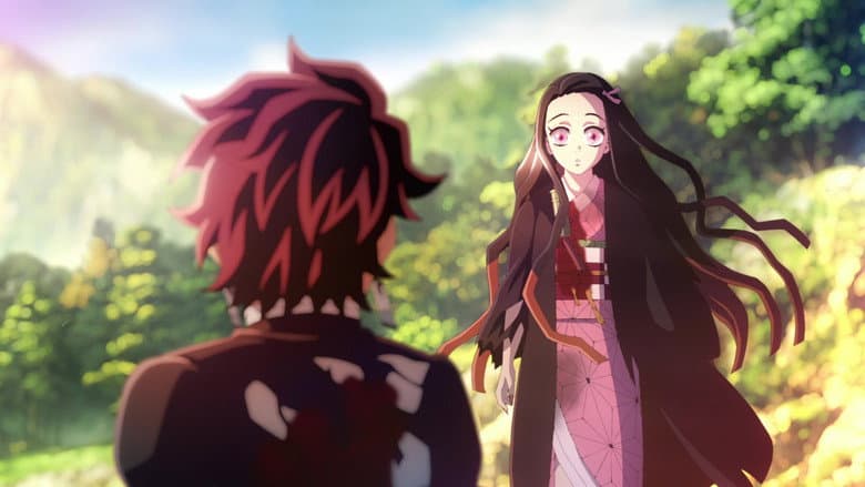 Demon Slayer: Kimetsu no Yaiba -To the Hashira Training- still