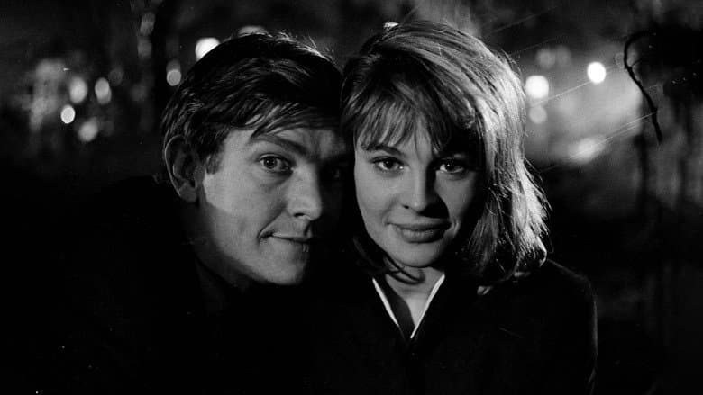 Billy Liar still