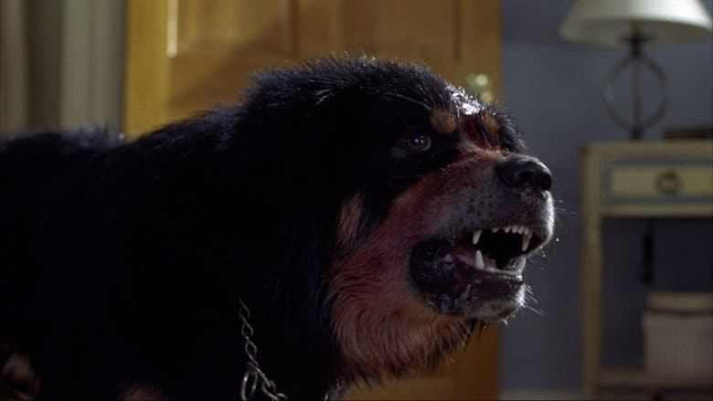 Man's Best Friend still
