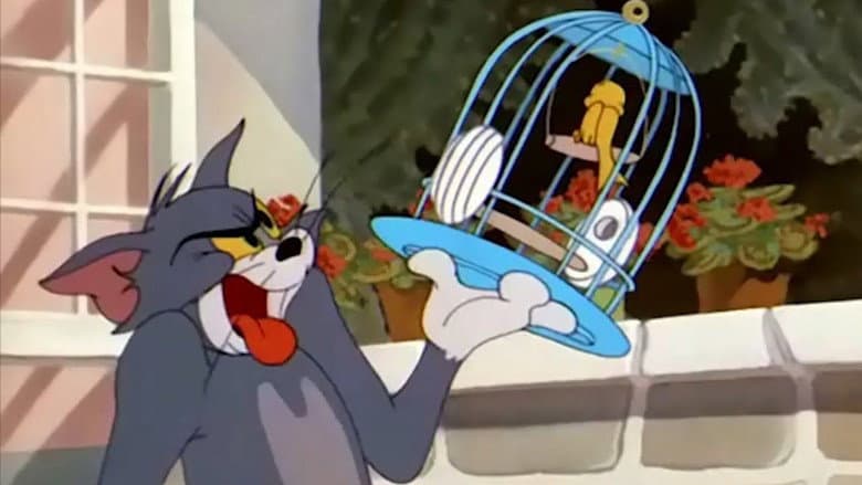 The Flying Cat still