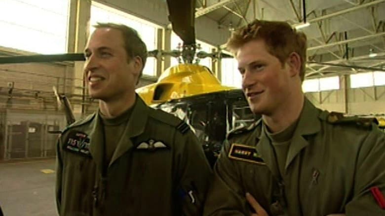 William and Harry: Brothers in Arms still
