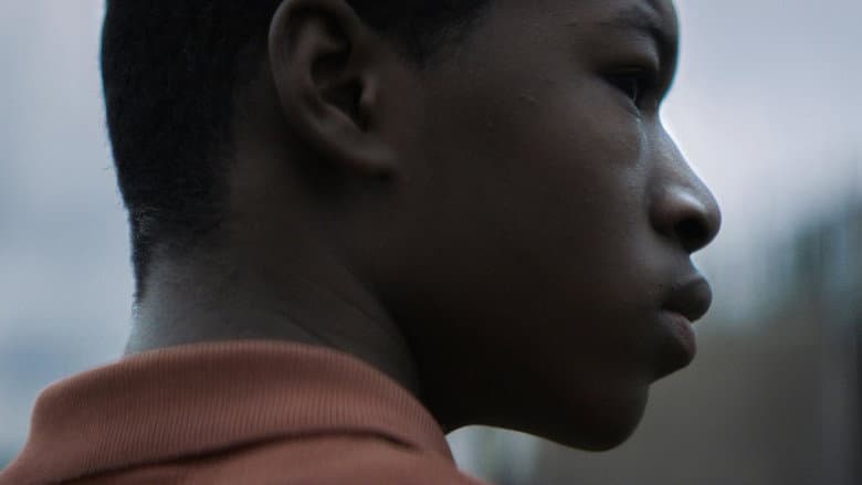 Black Sheep still