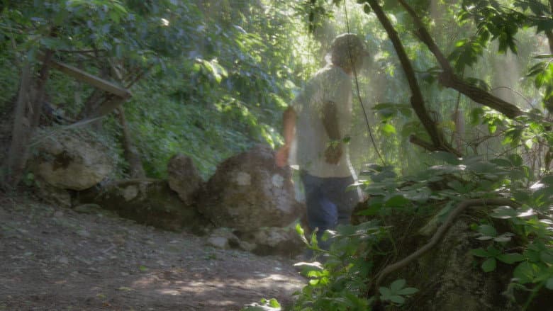 Pelle vegetale. Un'intervista still