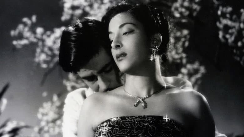 Awaara still