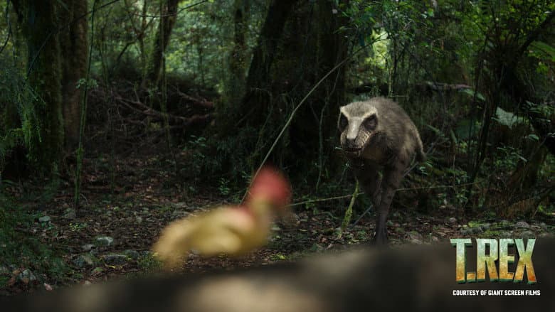 T. REX still