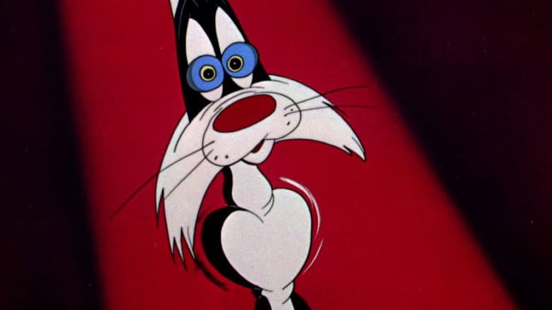Scaredy Cat still