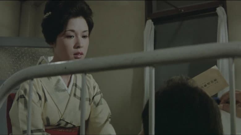 A Geisha's Diary still