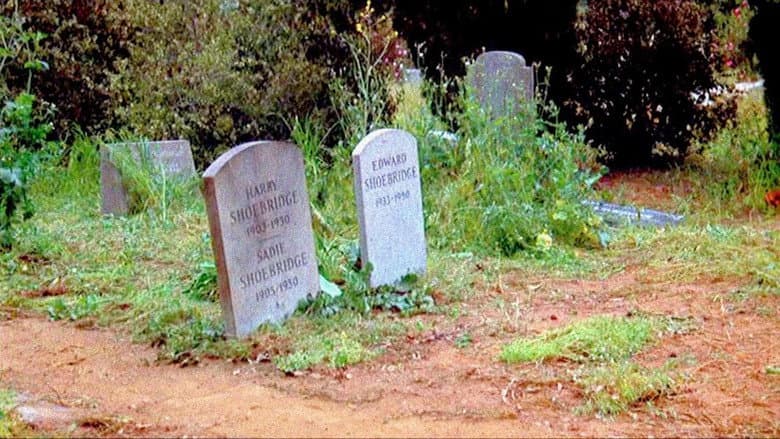 Family Plot still