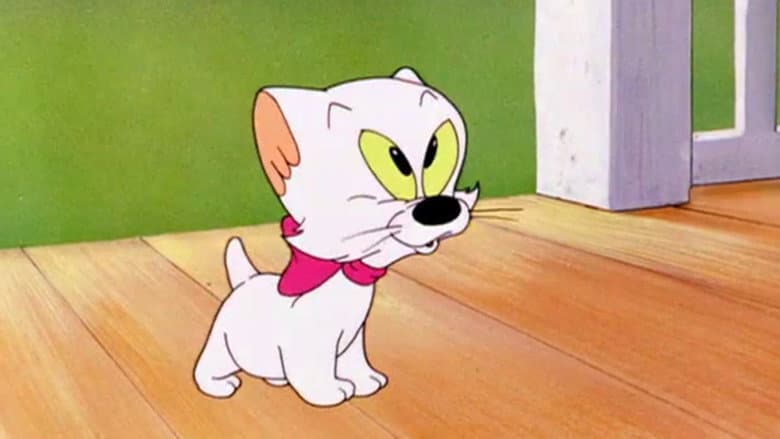Kiddin' the Kitten still