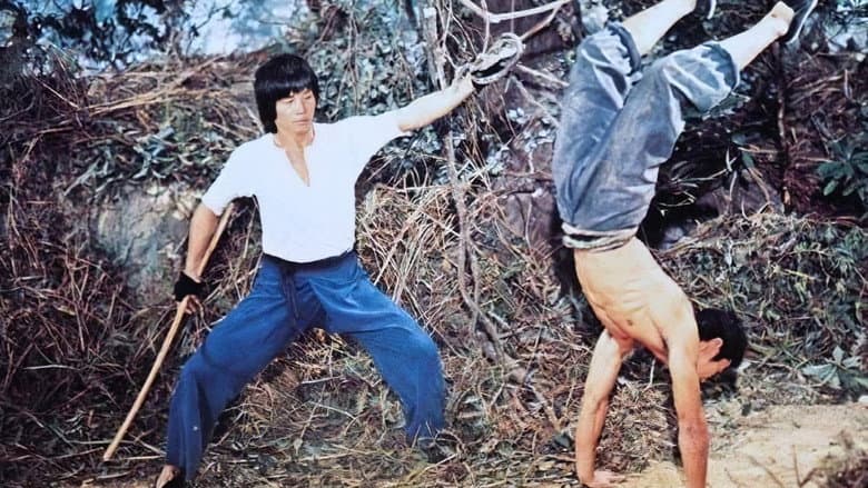 Mad Monkey Kung Fu still