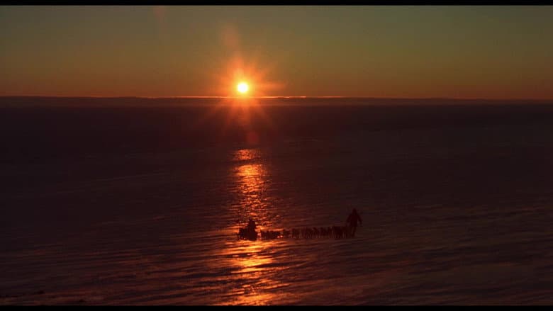 Antarctica still